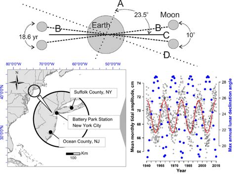18.6 year cycle|18.6 year lunar nodal cycle.